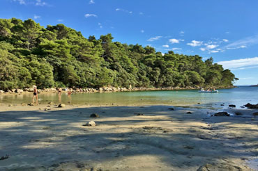 Beach Matovica